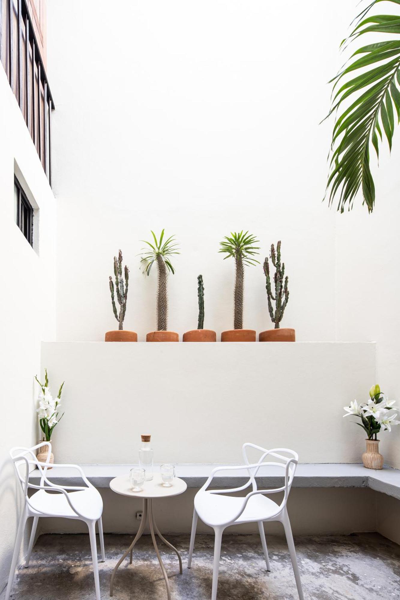 Casa Lumos - Minimalist Comfort Suites In Centro Historico Oaxaca Exterior foto